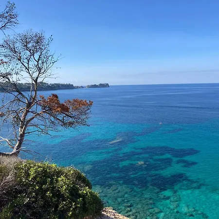 Coquillages Et Crustaces * Saint Aygulf