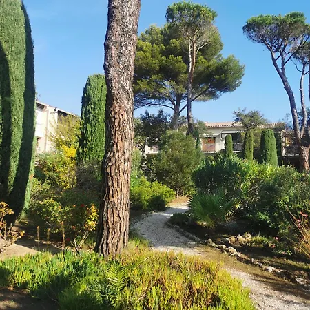 Coquillages Et Crustaces Saint Aygulf