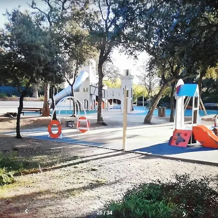 Coquillages Et Crustaces Saint Aygulf