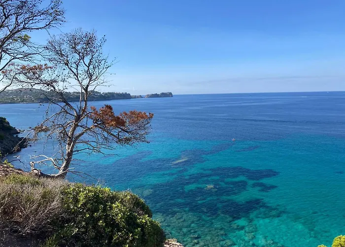 Coquillages Et Crustaces * Saint Aygulf