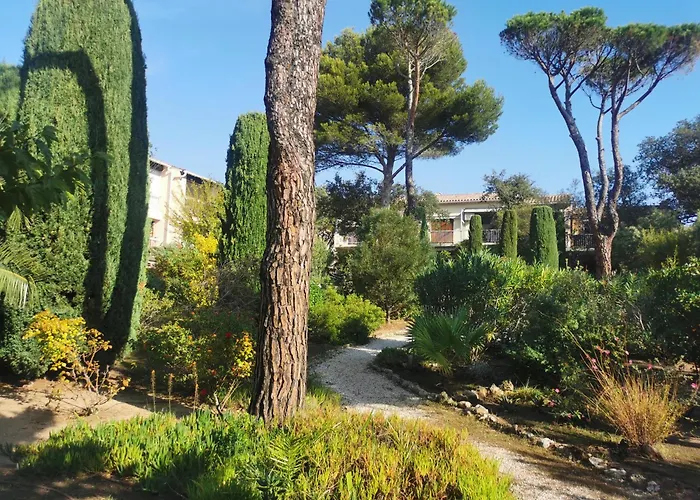 Coquillages Et Crustaces Saint Aygulf