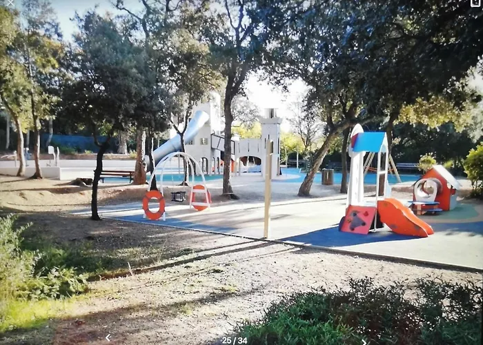 Coquillages Et Crustaces Saint Aygulf