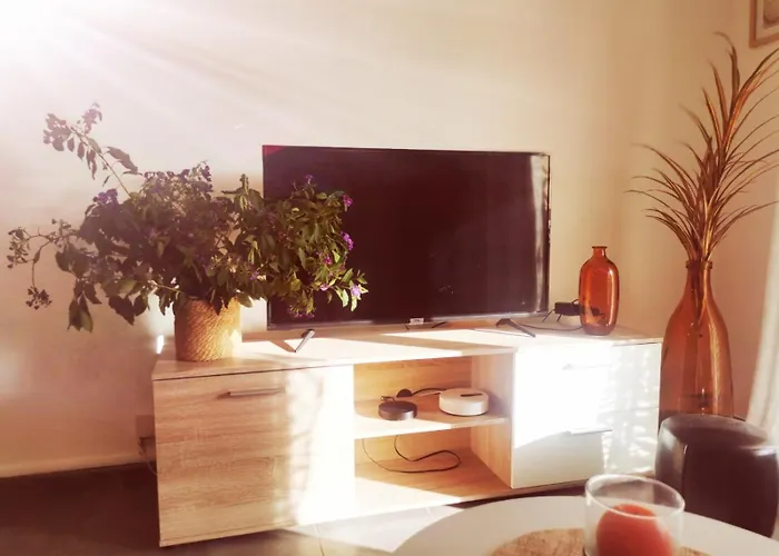 Coquillages Et Crustaces Apartment Saint Aygulf